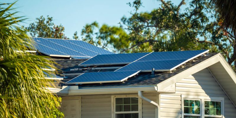 Residential home with light beige siding and dark shingles, featuring multiple solar panels installed on the roof, framed by palm fronds and leafy trees under bright sunlight.